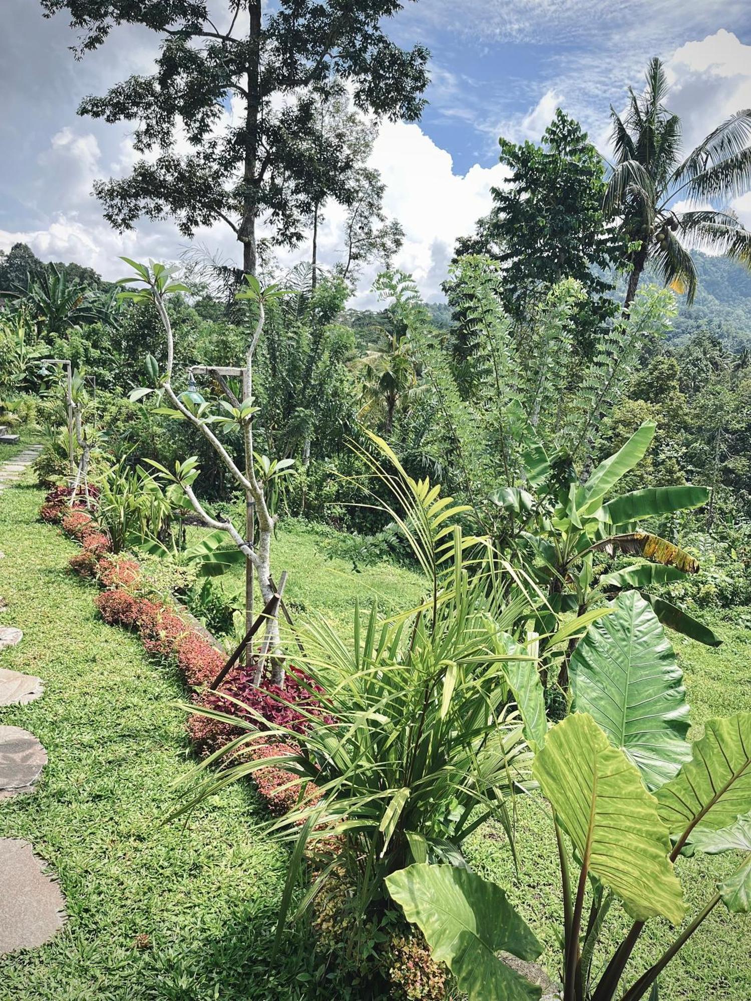 Papahan Bali Sidemen  Esterno foto